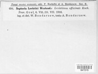 Image Associated With the Occurrence